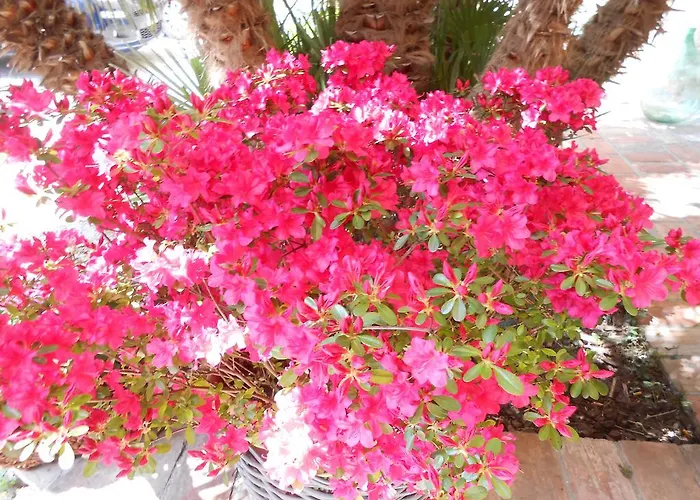 Lo Spedalicchio Hotel